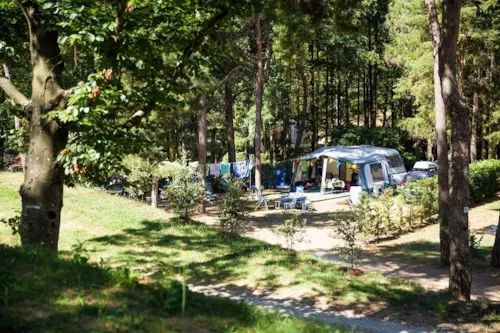Emplacement - Emplacement Nature Xl - Plus De 200M² (Avec Électricité) - image n°6 - Domaine la Garenne