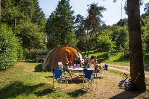 Emplacement - Emplacement Nature - Plus De 150M² (Avec Électricité) - image n°5 - Domaine la Garenne