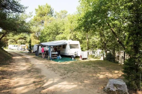 Emplacement - Emplacement Standard - Plus De 100M² (Avec Éléctricité) - image n°2 - Domaine la Garenne