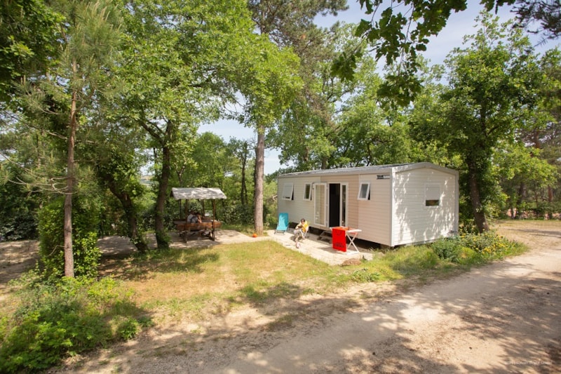 Mobilheim 3 Zimmer 35m², gepflasterte Terrasse