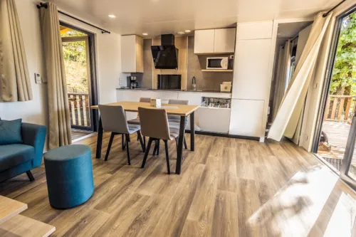 Location - Mobil Home 2 Chambres 40M², 2 Salles De Bains, Climatisation, 2 Terrasses Couvertes - image n°2 - Domaine la Garenne