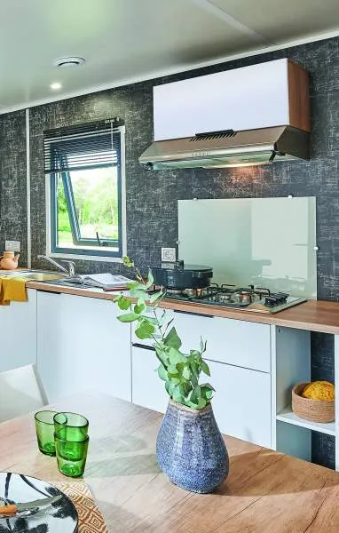 Accommodation - Mobil Home 2 Bedrooms 35M², 2 Bathrooms, Air-Conditioning, Covered Terrace - image n°7 - Domaine la Garenne