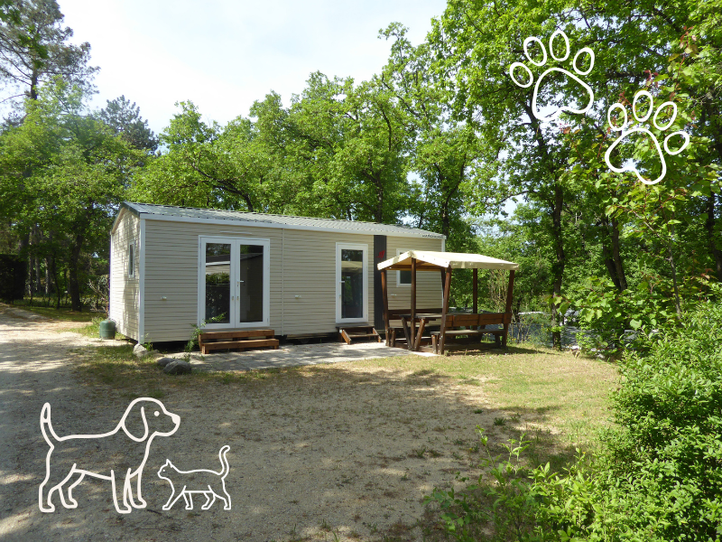 4 pattes! Stacaravan met 2 slaapkamers – 30 m² – betegeld terras