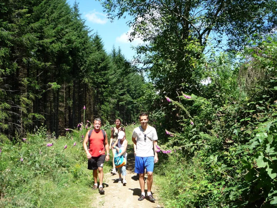 Camping Paradis les Chanterelles