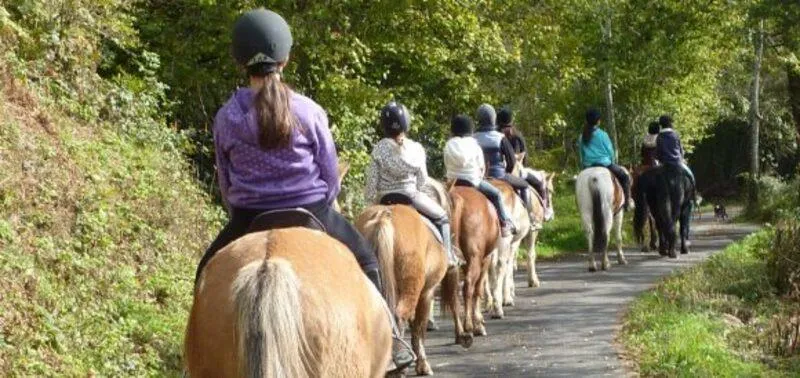 Camping Paradis les Chanterelles