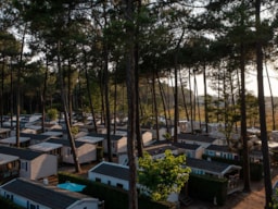 Camping Lou Pignada - image n°8 - Roulottes