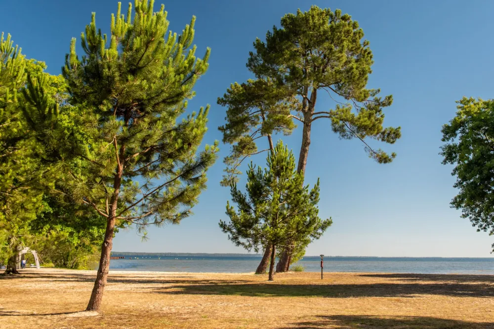 Stellplatz - Zeltplatz Mit Strom - Blick Auf Den See - 1. Reihe / S - Camping Campéole Navarrosse Plage 
