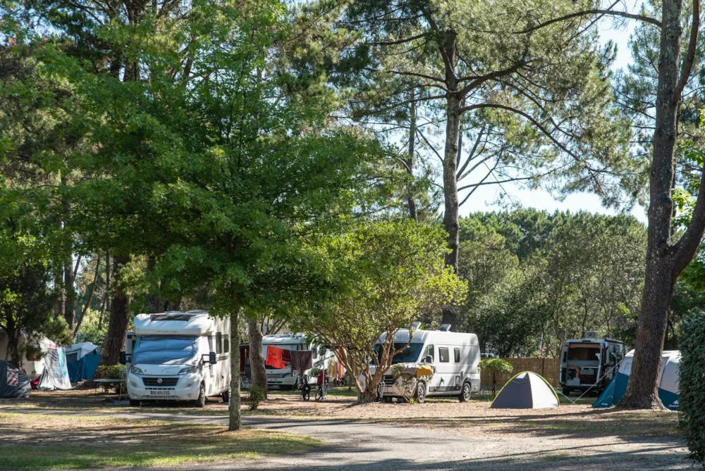 Stellplatz - Stellplatz Mit Strom - Seite Des Sees / S - Camping Campéole Navarrosse Plage 