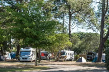 Emplacement - Emplacement Avec Électricité - Côté Lac / S - Camping Campéole Navarrosse Plage 
