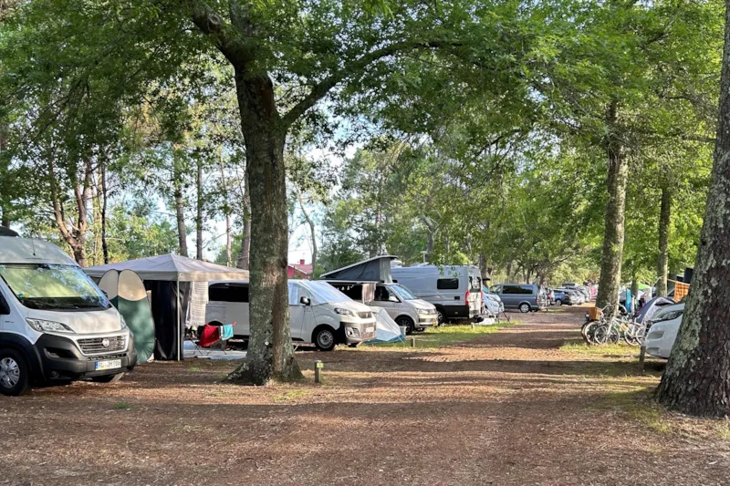 Emplacement Avec Électricité - Côté Lac / D