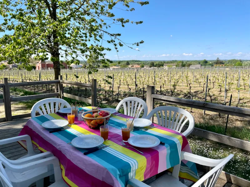 Mobil Home Confort - 3 Chambres  (32M²) + Climatisation + Vue Vigne
