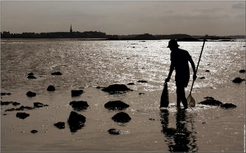 Capfun - Camping Lodge