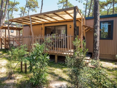 Lodge PREMIUM 6P