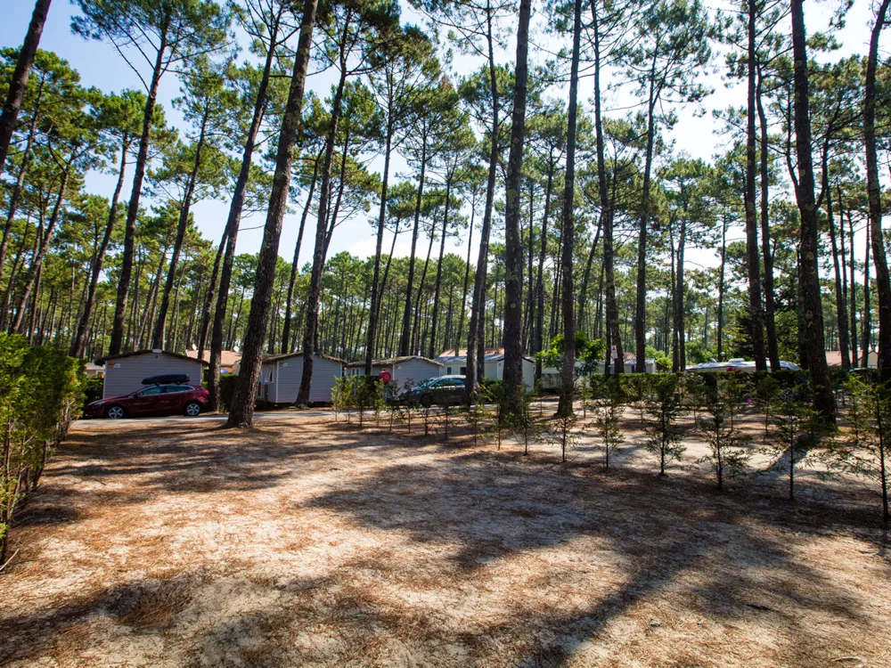 Emplacement - Emplacement Standard 2/6P - Camping Le Vieux Port Resort & Spa