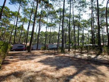 Stellplatz - Stellplatz Standard 2/6P - Camping Le Vieux Port Resort & Spa