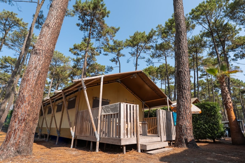 Zelt ECOLUXE 4/5P