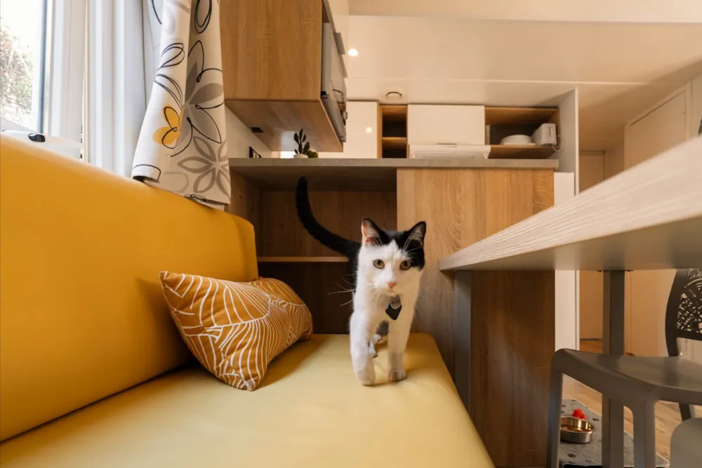 Location - Mobil-Home Resasol 8P - Animaux Admis - Camping Le Vieux Port Resort & Spa