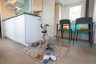 Mobil-home Resasol 4/6 persons - Animals allowed