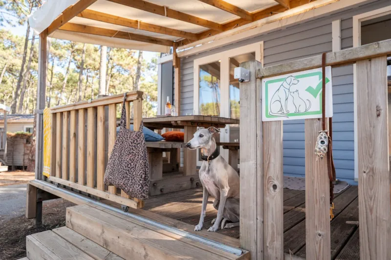 Mobil-Home Resasol 4/6P - Animaux Admis