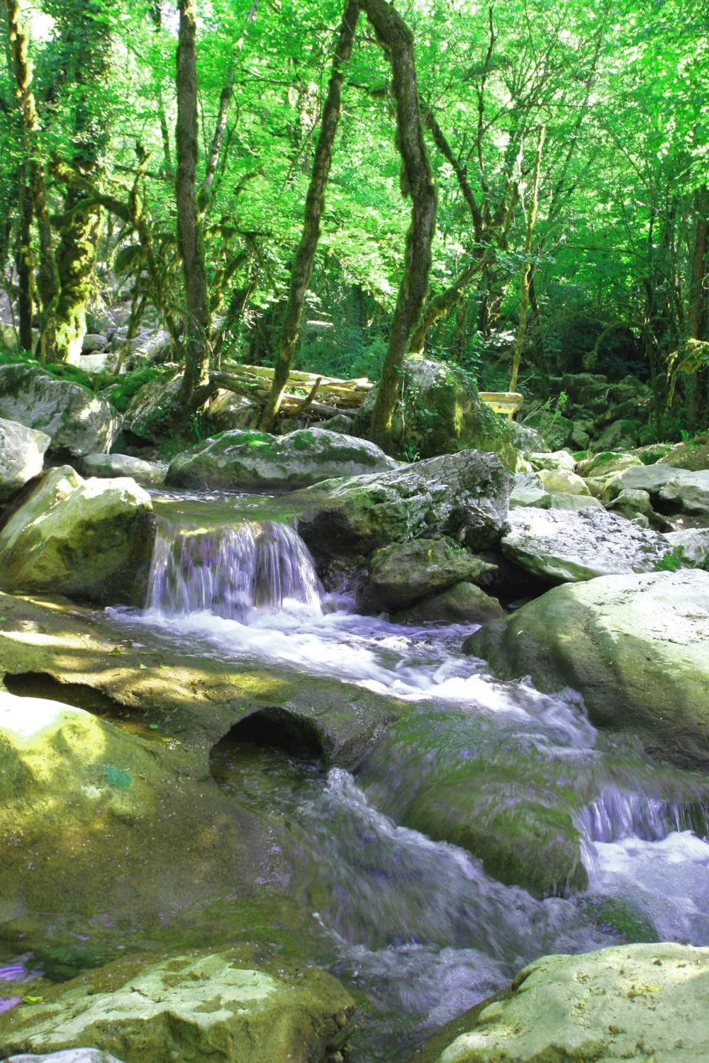 Camping  Le Vaugrais - image n°71 - Ain