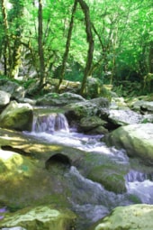 Camping  Le Vaugrais