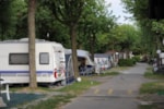Piazzola Grande : 1 Auto + Tenda, Roulotte O Camper + Elettricità 6A + Raccordo All'acqua Corrente Piazzola Grande : 1 Auto + Tenda, Roulotte O Camper + Elettricità 6A + Raccordo All'acqua Corrente