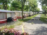 Bungalow Tent Bungalow Tent