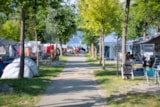 Piazzola Standard + Auto + Tenda O Roulotte + Elettricità 3A Piazzola Standard + Auto + Tenda O Roulotte + Elettricità 3A