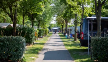 Stellplatz - Großer Stellplatz + Auto + Zelt, Wohnwagen Oder Wohnmobil + Strom 6A - Camping Del Sole Village