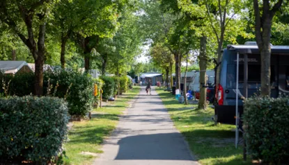 Piazzola Grande  + Auto + Tenda, Roulotte O Camper + Elettricità 6A