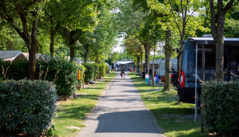 Großer Stellplatz + Auto + Zelt, Wohnwagen oder Wohnmobil + Strom 6A