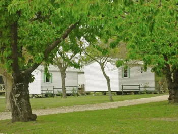 Mietunterkunft - Résidence O'hara 28M² Überdachte Terrasse (2 Zimmer) - Camping le Pontet - ARDECHE