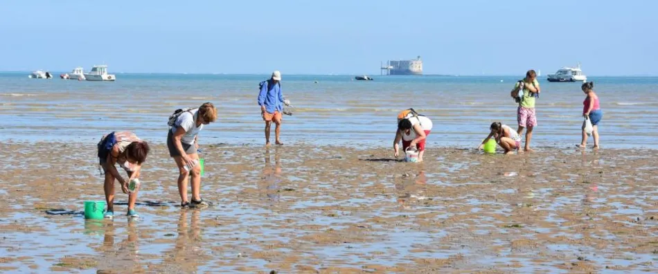 Flower Camping L'Abri-Côtier