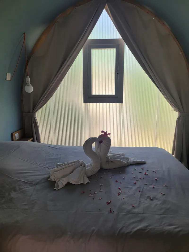 Coco Sweet 16M² Insolite - 2 Chambres + Terrasse Couverte (Sans Sanitaires)