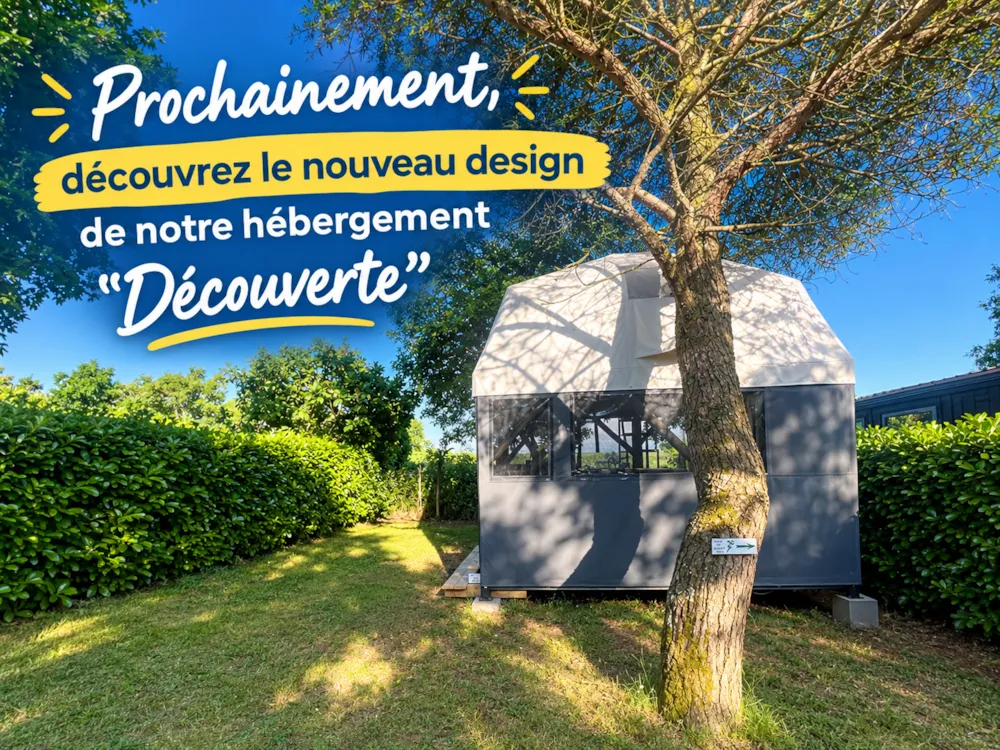 Location - Insolite Découverte - 2 Chambres (Avec Sanitaires Et Sans Tv) - Flower Camping L'Abri-Côtier