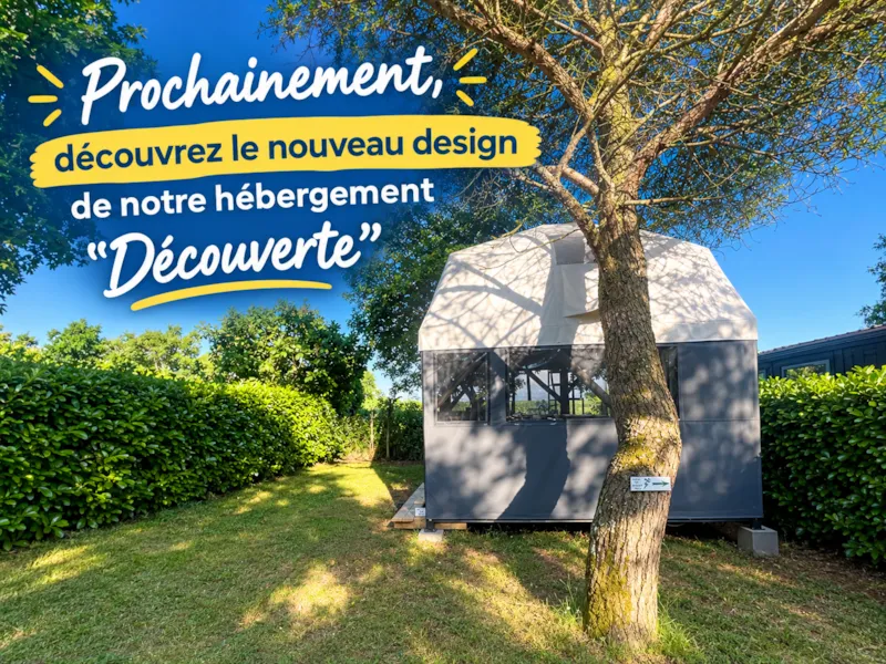 Insolite Découverte - 2 Chambres (Avec Sanitaires Et Sans Tv)