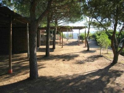 Pitch Tent — 3