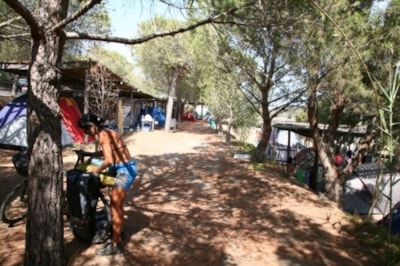 Pitch Tent — 2