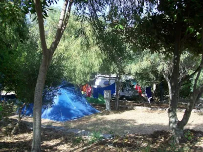 Piazzola Tenda (1 Persona Compresa)