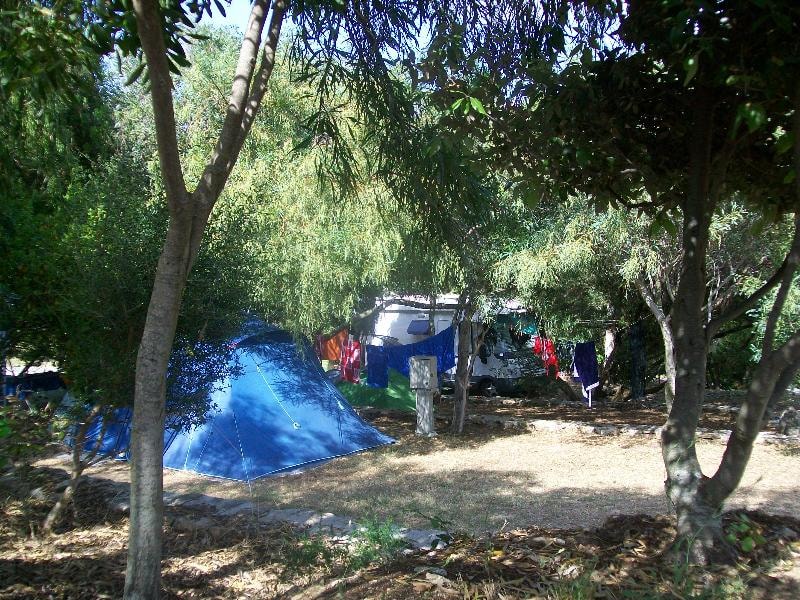Pitch Tent