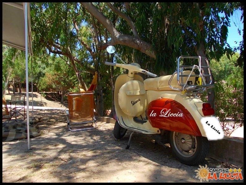 Camping La Liccia — Photo 3