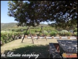 Foto #49 van Camping La Liccia