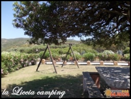 Camping La Liccia - image n°49 - Roulottes