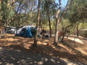 Stellplatz - Pitch For Large Tent - Tent Over 16Sqm - Camping La Liccia