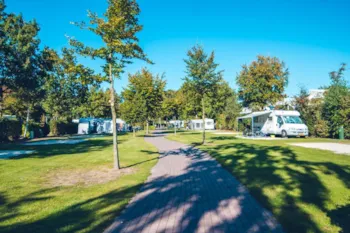 Emplacement - Emplacement Comfort - Vakantiepark Ackersate
