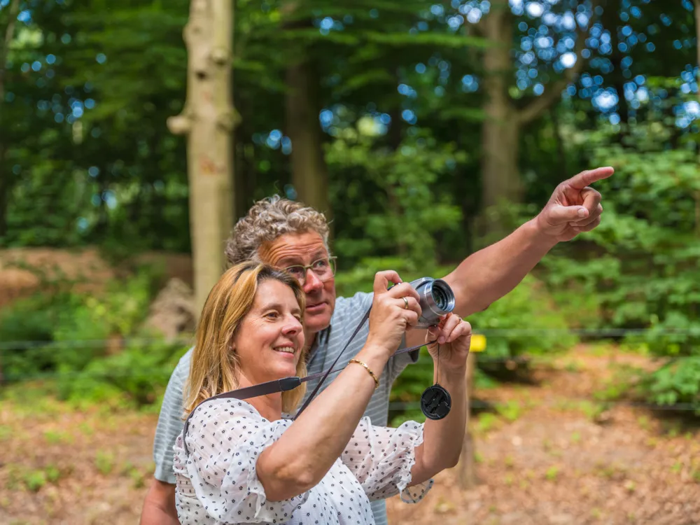 Vakantiepark Ackersate - image n°25 - UniversalBooking