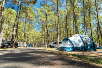 Kampeerplaats(en) - Staanplaats Met Elektriciteit - Camping Campéole Les Tourterelles