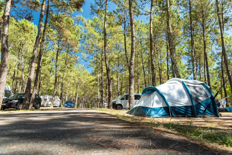 Emplacement Avec Électricité / D