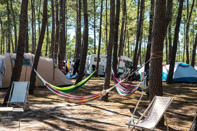 Emplacement Avec Électricité / D