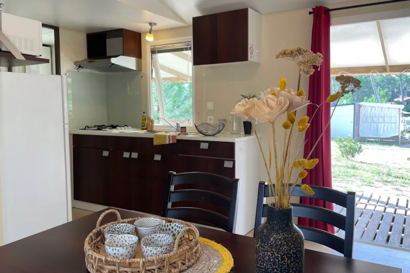 Cottage Camélia Standard / D